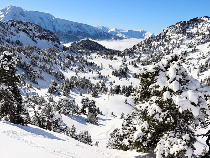 zone de freeride dans la poudreuse, en split board, pure ambiance montagne