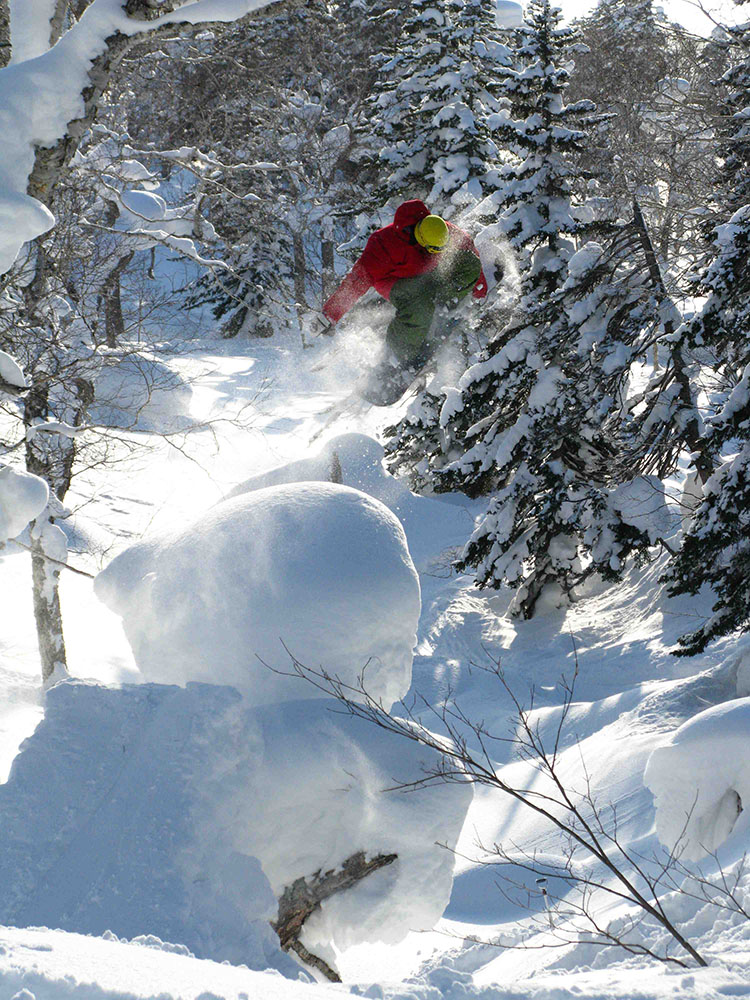 freestyle, poudreuse grab